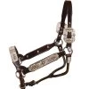 Tory Leather Blue Bonnet Congress Halter And Lead 2 Tory Leather Blue Bonnet Congress Halter And Lead -Horse Gear Shop 125bluebonnetcongress 65299 23251.1527308810