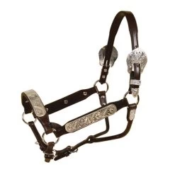 Tory Leather Rochester Congress Show Halter And Lead