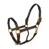 Perri's Twisted Leather Halter -Horse Gear Shop 146htwistedhalterhavana 08148 25317.1564434620