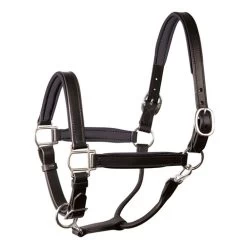Perri's Padded Leather Halter