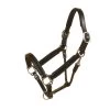 Tory Padded Leather Halter With Nickel Hardware -Horse Gear Shop 196 ni7e1 38643 22276.1527305564