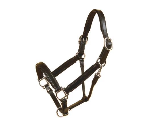 Tory Padded Leather Halter With Nickel Hardware 3 Tory Padded Leather Halter With Nickel Hardware