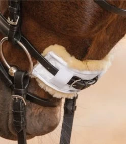 Waldhausen Sheepskin Nose & Poll Protectors -Horse Gear Shop 219310 Sheepskin Protector 18cm on Horse 03313.1587753386