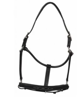 HDR Pony Fancy Padded Leather Halter -Horse Gear Shop 5019halterblack 80901 35602.1618602106