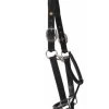 HDR Pony Fancy Padded Leather Halter -Horse Gear Shop 5019halterblackside 22829 81250.1618602103