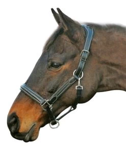 HDR Stress-Free Shaped Crown Halter -Horse Gear Shop 5218 black 27864 26881.1527298209