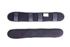 Back On Track Poll Cover