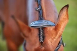 Collegiate ComfiTec Training Bridle -Horse Gear Shop 811145 ComfiTec Training Crown Detail 53744.1588094691