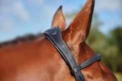 Collegiate ComfiTec Training Bridle -Horse Gear Shop 811145 ComfiTec Training Crown Side 34390.1588094697