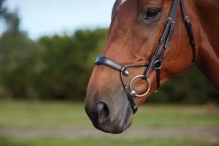 Collegiate ComfiTec Training Bridle -Horse Gear Shop 811145 ComfiTec Training L Side 3 80721.1588094714