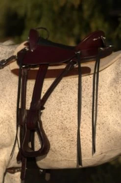 Circle Y Julie Goodnight Cascade Crossover Trail Saddle 1753 12 Circle Y Julie Goodnight Cascade Crossover Trail Saddle 1753 -Horse Gear Shop Cascade Left Side 39422.1600203383