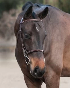 Edgewood Raised Fancy Stitch Bridle -Horse Gear Shop Dante0221 16 89088.1614975659