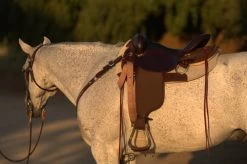 High Horse Highbank Endurance Saddle By Circle Y 10 High Horse Highbank Endurance Saddle By Circle Y -Horse Gear Shop HH Highback Left Profile on a horse 30277.1600209479