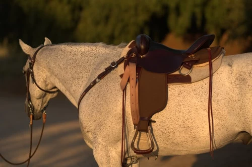 High Horse Highbank Endurance Saddle By Circle Y 6 High Horse Highbank Endurance Saddle By Circle Y - Image 4