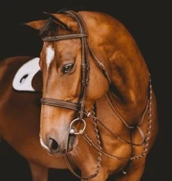 Arion Fancy Stitch Hunter Bridle 9 Arion Fancy Stitch Hunter Bridle -Horse Gear Shop Hunter Bridle with Fancy Stitching brown horse crop BR5H arion 95254.1681670675