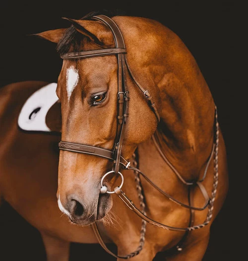 Arion Fancy Stitch Hunter Bridle 6 Arion Fancy Stitch Hunter Bridle - Image 4