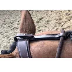 Jump'in Patrick Training Aid 7 Jump'in Patrick Training Aid -Horse Gear Shop Patrick Training Aid havana poll jumpin 64436.1645560092