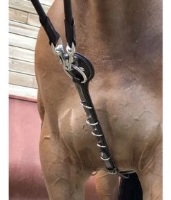 Jump'in Patrick Training Aid