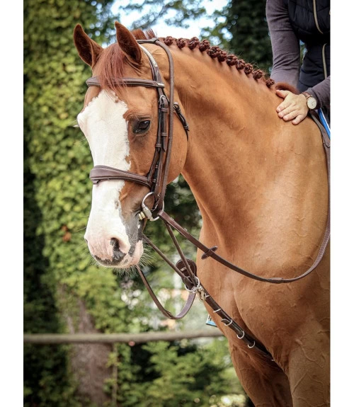 Jump'in Patrick Training Aid 3 Jump'in Patrick Training Aid - Image 2