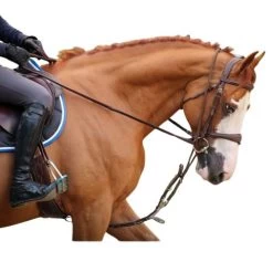 Jump'in Patrick Training Aid 8 Jump'in Patrick Training Aid -Horse Gear Shop Patrick Training Aid2 jumpin 06200.1645562222