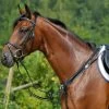 Stubben Wide Elastic Breastplate With Running Attachment -Horse Gear Shop STU 10704 ElasticRunningBreastplate 88586.1558039998