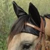 Cashel Comfort Ears -Horse Gear Shop aaaaaaappc 35268 04226.1562457244