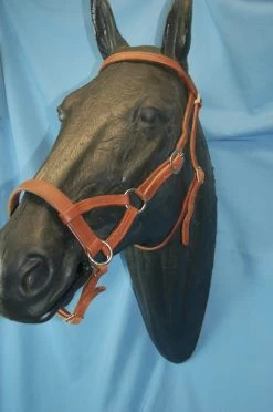 Buckaroo Leather Flat Nose Sidepull 16 Buckaroo Leather Flat Nose Sidepull -Horse Gear Shop aaaaaaavbhimage1 39395 02365.1527296610