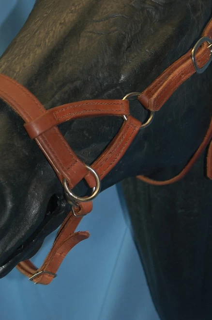 Buckaroo Leather Flat Nose Sidepull 10 Buckaroo Leather Flat Nose Sidepull - Image 8