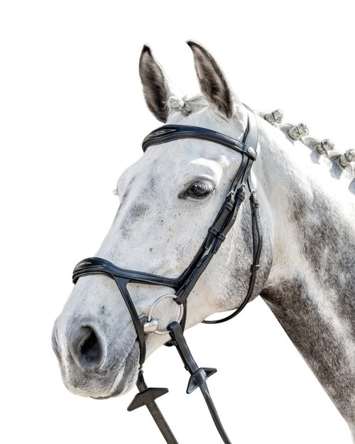 Prestige FS Anatomic Drop Noseband Bridle 3 Prestige FS Anatomic Drop Noseband Bridle