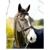Dy'on Anatomic Flash Noseband Bridle -Horse Gear Shop anatomic flash noseband bridle dyon 19831.1610837903