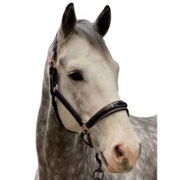 Halter Ego Aurelia Rose Gold Halter 11 Halter Ego Aurelia Rose Gold Halter -Horse Gear Shop aurelia black pt rs gold halter ego 47724.1682994359