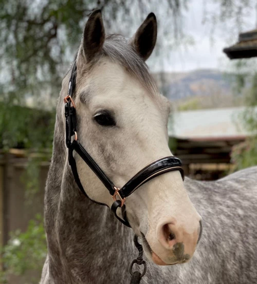 Halter Ego Aurelia Rose Gold Halter 4 Halter Ego Aurelia Rose Gold Halter - Image 2