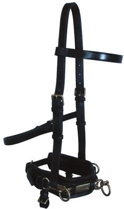 Bobby's English Tack Leather Lunge Caveson