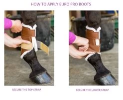 Euro Pro Rex Open Front Boot 12 Euro Pro Rex Open Front Boot -Horse Gear Shop boot apply guide euro pro 24461.1601669583