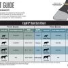 EquiFit AmpTeq Hind Boots With Color Binding -Horse Gear Shop bootchart 06375 38452.1527298954