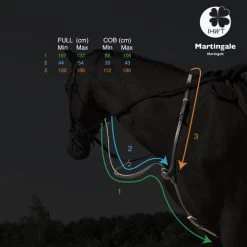 In Horse We Trust C-Cure Elastic Running Martingale -Horse Gear Shop c cure elastic running martingale measure ihwt 12166.1608756538