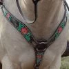 Circle Y Cactus Flower Breast Collar 1 Circle Y Cactus Flower Breast Collar -Horse Gear Shop cactus flower breast collar horse 1000 23 SC circle y 73083.1613591811