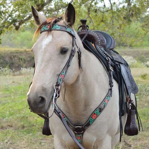 Horse Gear Shop -Horse Gear Shop cactus flower tack set circle y 81365.1613592808