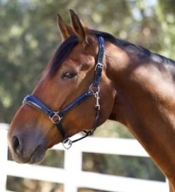 Halter Ego Copenhagen Navy Patent Halter 10 Halter Ego Copenhagen Navy Patent Halter -Horse Gear Shop copenhagen navy halter nv.pt navy hero COPENHAGEN HALTER halter ego 97604.1682536277