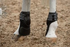 EquiFit ImpacTeq Extended Coverage Hind Boot Liners
