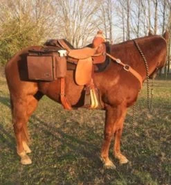 Reinsman Deluxe Insulated Cooler Saddle Bag -Horse Gear Shop deluxe insulated saddle bag brown horse 9187 BN reinsman 00542.1674839529
