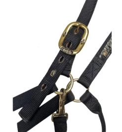 Big D Nylon Draft Halter - Snap + Adjustable Chin -Horse Gear Shop draft halter black hardware big d mtf 63256.1649965248
