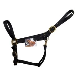 Big D Nylon Draft Halter - Snap + Adjustable Chin -Horse Gear Shop draft halter black side big d mtf 52393.1649965225