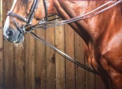 Dy'on Rubber Lined Hunter Draw Reins