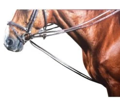 Dy'on Rubber Lined Hunter Draw Reins -Horse Gear Shop draw reins hunter grip brown horseW W008C dyon 35929.1626810108