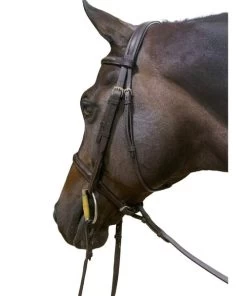 DziaSport Easy-Off Standing Martingale -Horse Gear Shop easy off martingale brown chin dzia sport 22396.1635963391