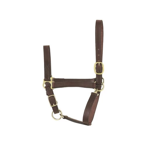 Perri's Economy Leather Foal/Pony Halter 3 Perri's Economy Leather Foal/Pony Halter
