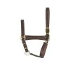 Perri's Economy Leather Halter -Horse Gear Shop economy leather halter horse havana perris 49002.1587672811