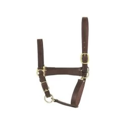 Perri's Economy Leather Halter