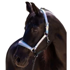 Halter Ego Elsa Halter -Horse Gear Shop elsa halter neon.blue halter ego 47152.1682705317